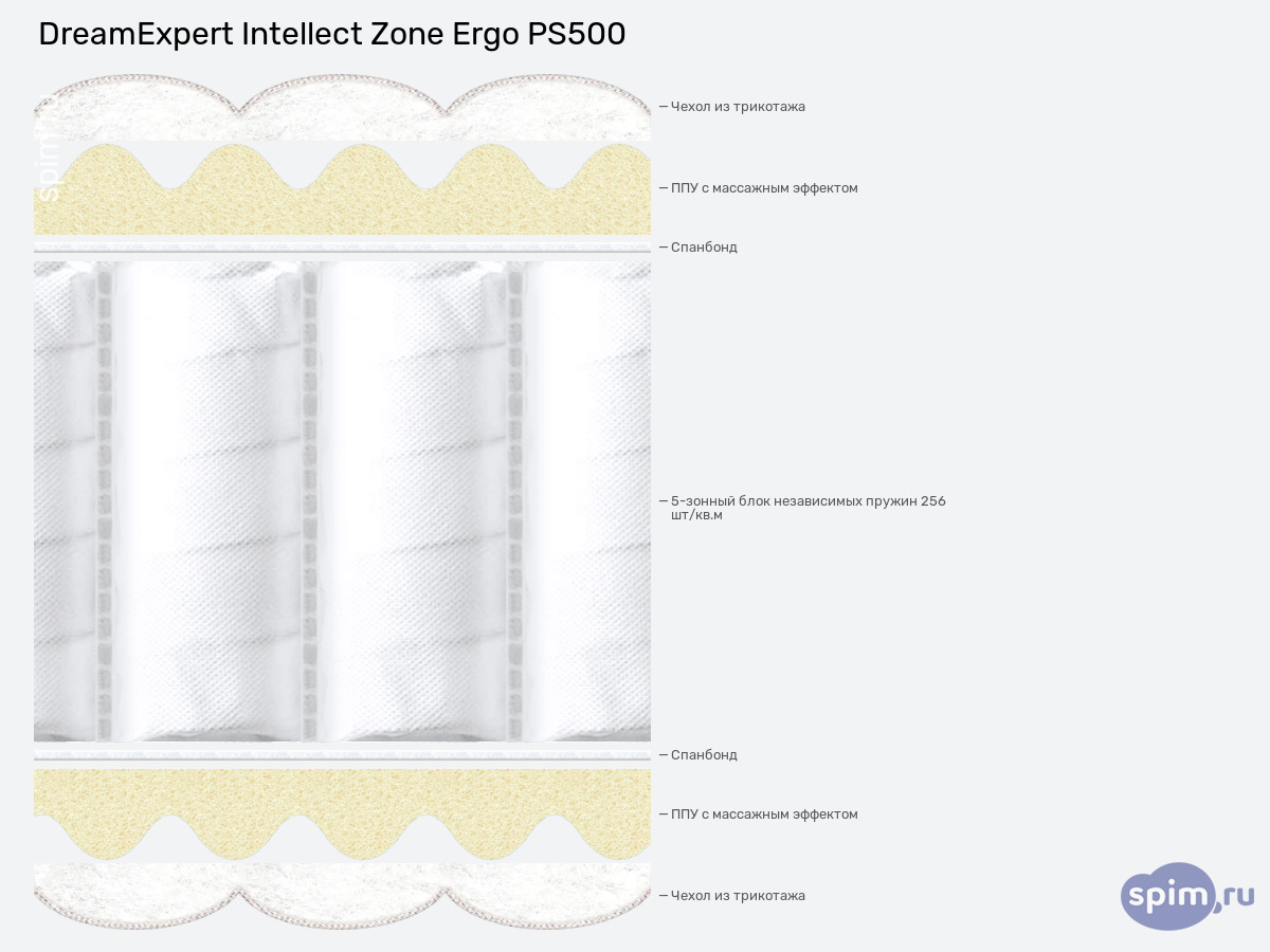 ����� ������� ������� DreamExpert Intellect Zone Ergo PS500 � �������