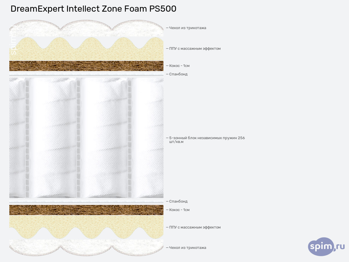 ����� ������� ������� DreamExpert Intellect Zone Foam PS500 � �������
