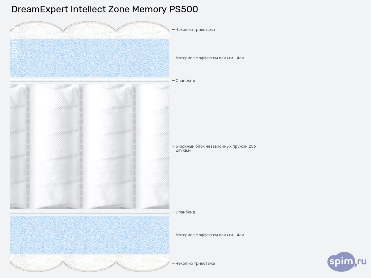 ����� ������� ������� DreamExpert Intellect Zone Memory PS500 � �������