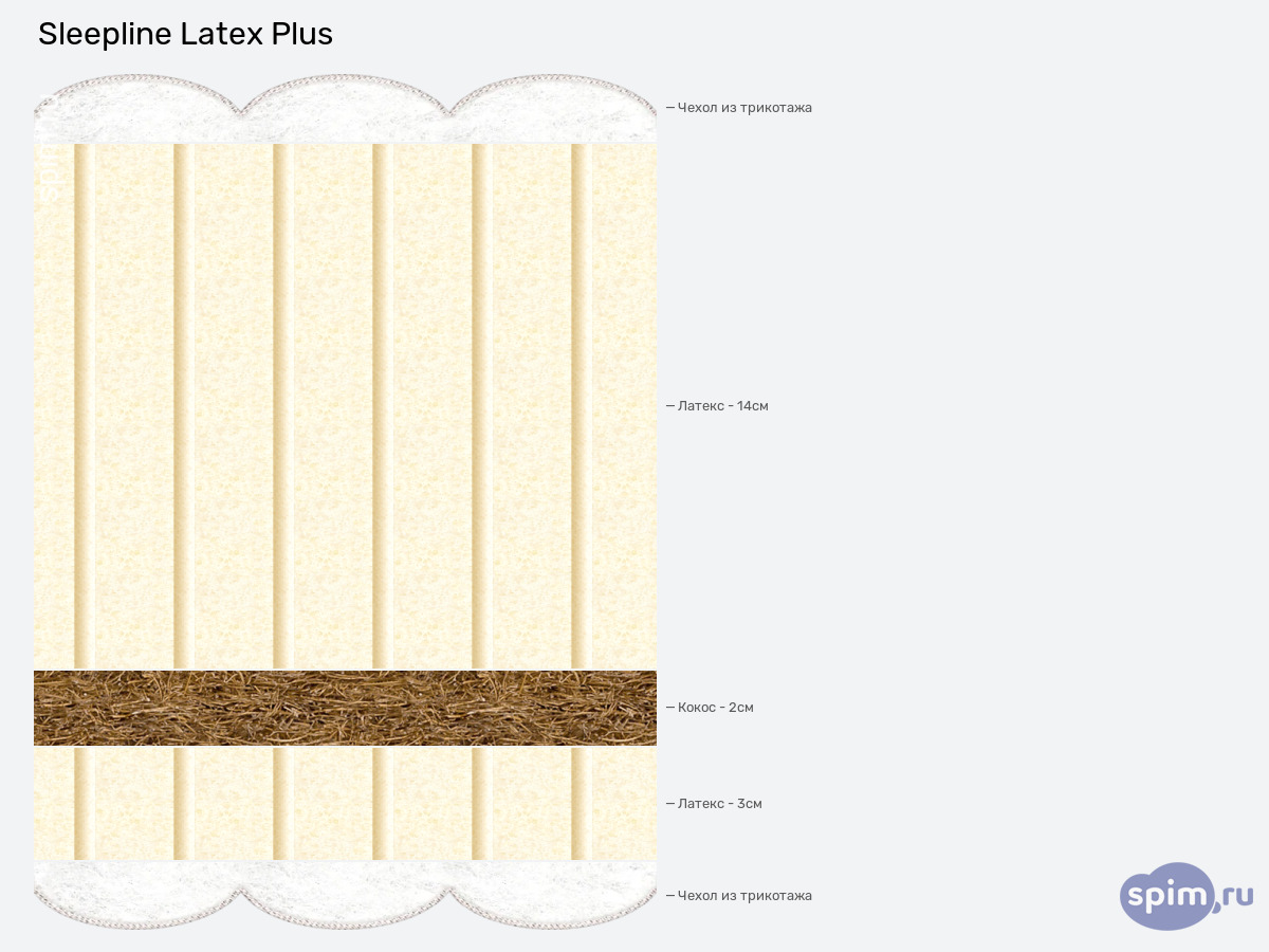 ����� ������� ������� Sleepline Latex Latex Plus � �������
