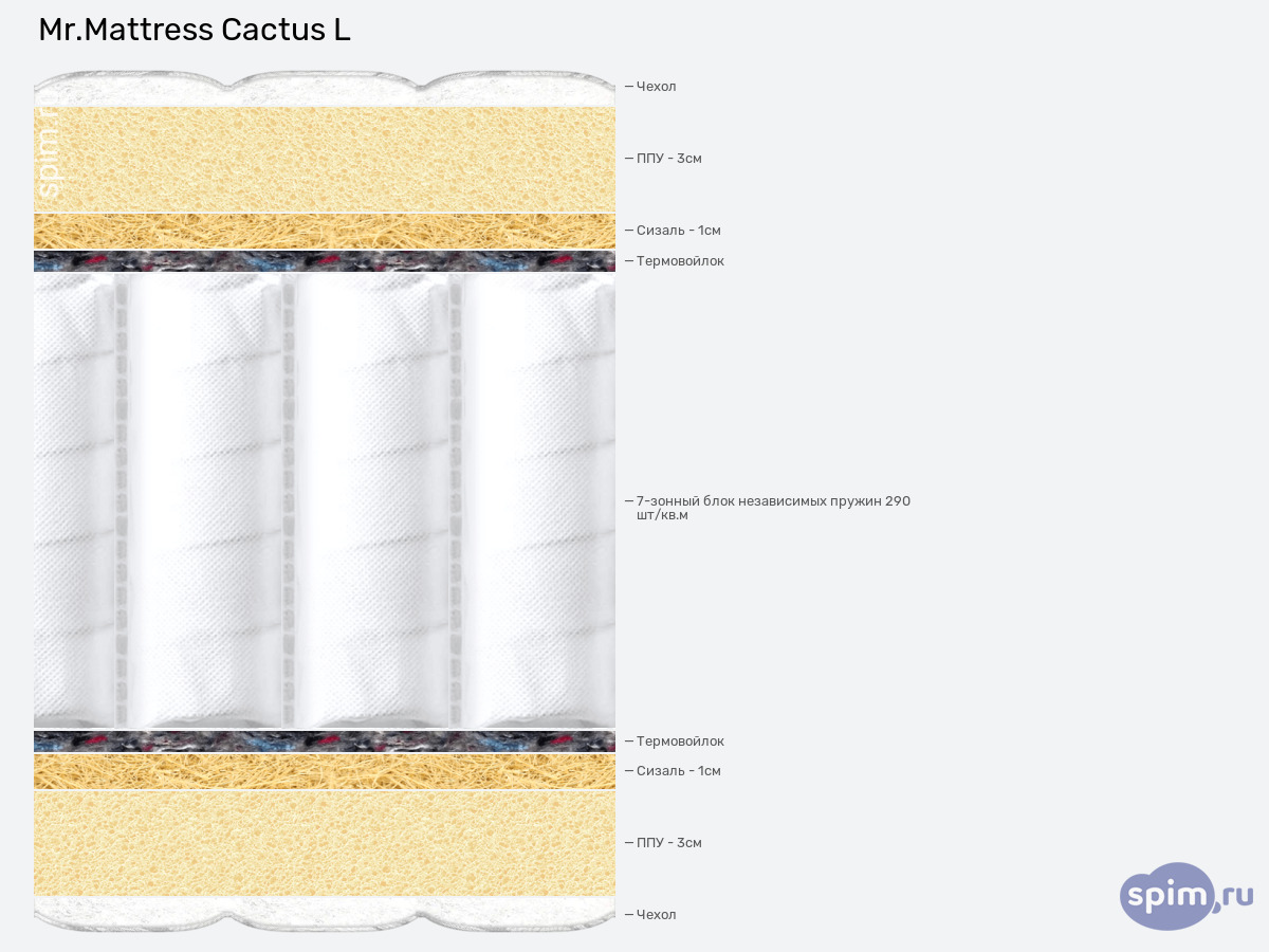 ����� ������� ������� Mr.Mattress Cactus L � �������