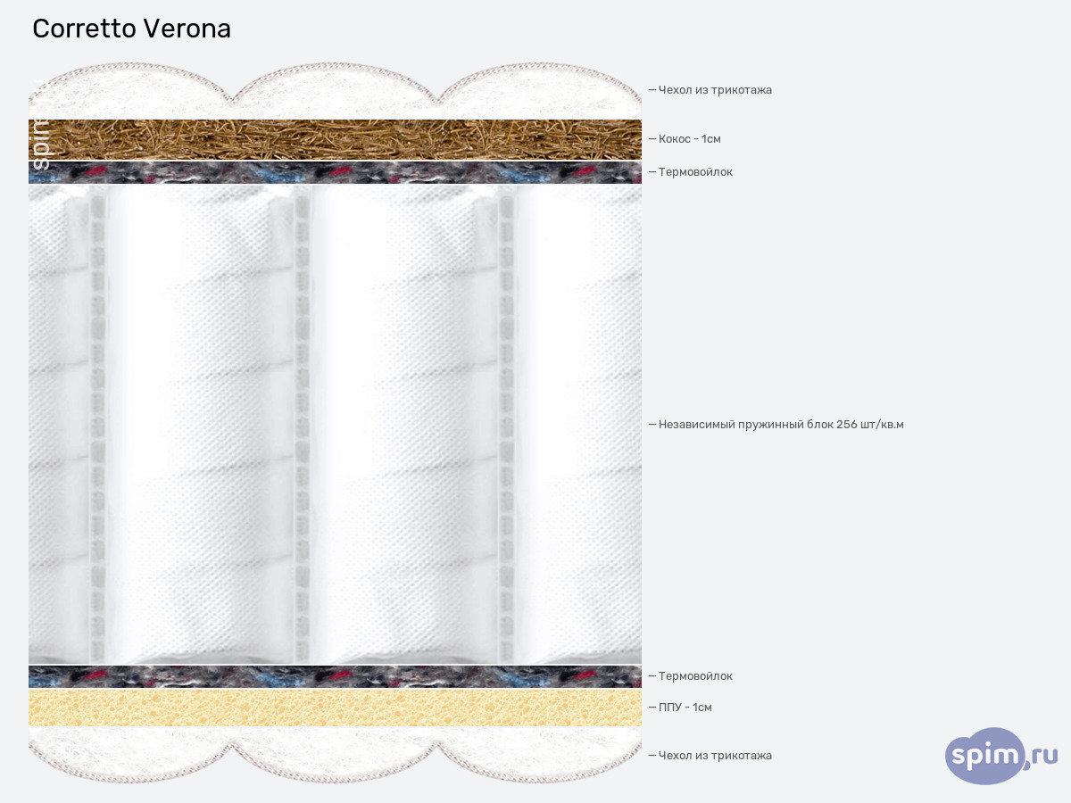 ����� ������� ������� Corretto Verona � �������