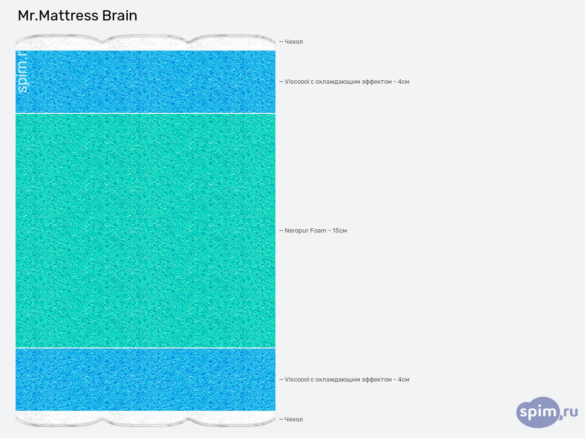 ����� ������� ������� Mr.Mattress Brain � �������