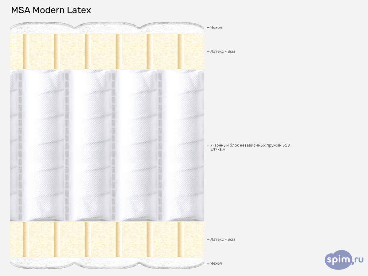 ����� ������� ������� MSA Modern Latex � �������