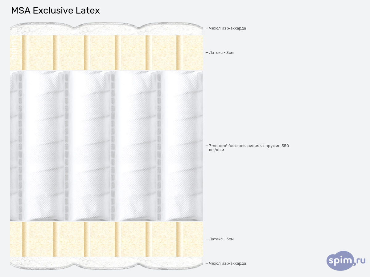 ����� ������� ������� MSA Exclusive Latex � �������