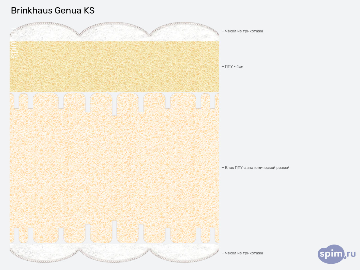 ����� ������� ������� Brinkhaus Genua KS � �������