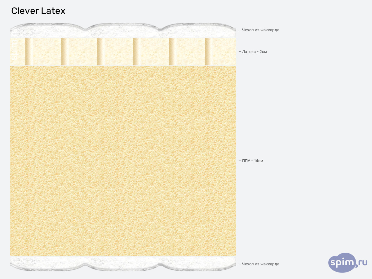 ����� ������� ������� Clever Latex � �������