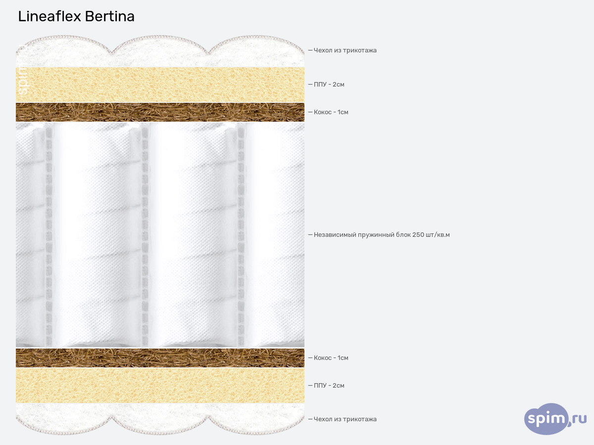 ����� ������� ������� Lineaflex Bertina � �������